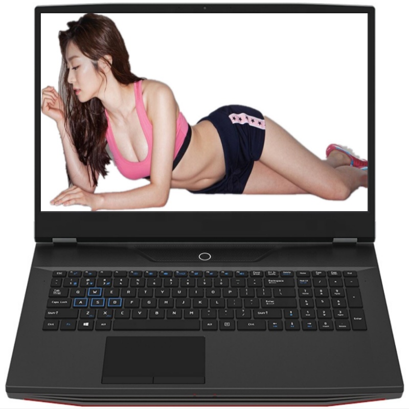 Laptop para jogos de 17,3 pole - Pc Gaming Intel Core I7 avaliação e preço